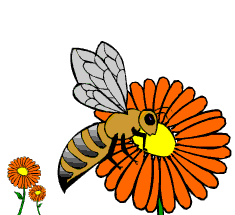01-abeille.gif