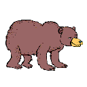 Un ours
