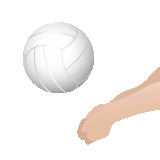 volleyball.gif